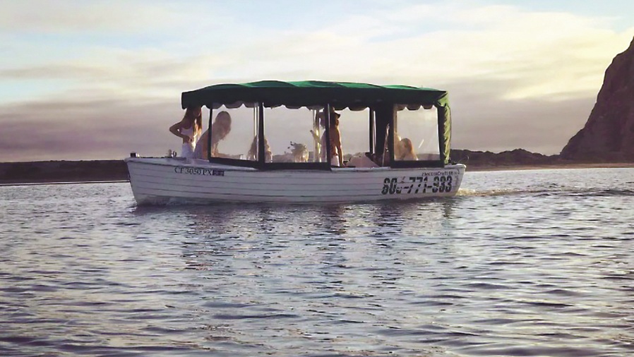 Bay Cruisers